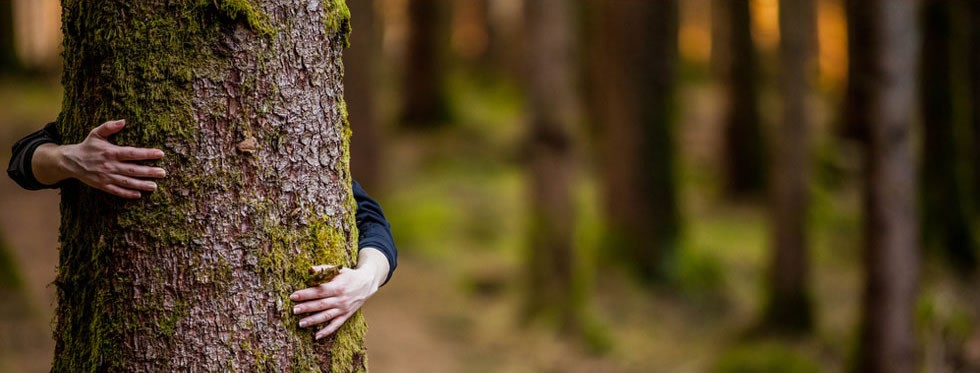 MÁS DE 30 MIEMBROS FORMAN NUESTRA PLATAFORMA