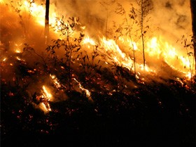 BIOENERGÍA Y PREVENCIÓN DE GRANDES INCENDIOS FORESTALES