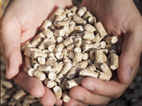 PLANES DE GESTIÓN DEL MEDIO