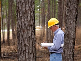 INVESTIGACIÓN Y FORMACIÓN