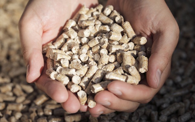 Los planes de gestión del medio