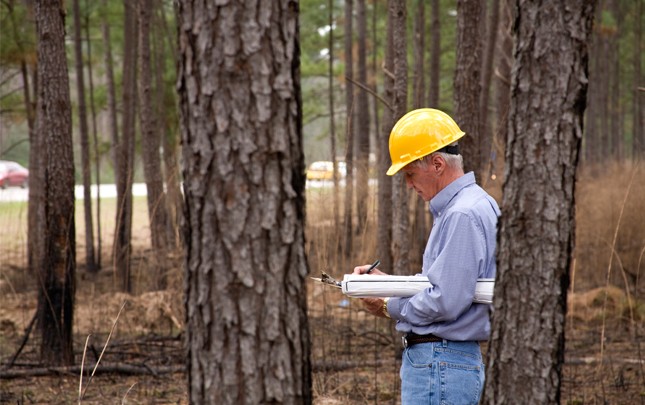 Nuestros recursos, cursos, y proyectos