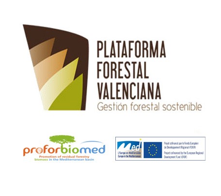 Boletín informativo BOSC VALENCIÀ